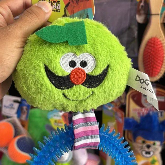 Brinquedos e escovas expostos na loja