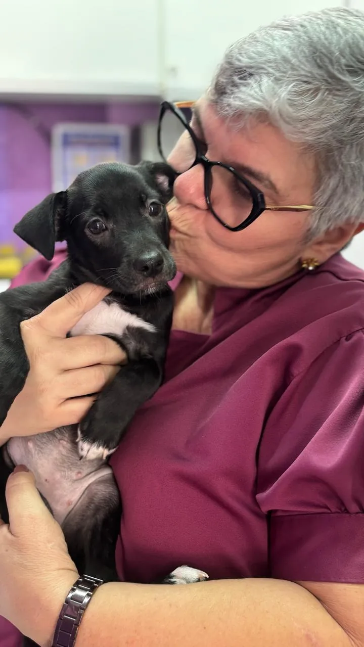 Profissional do Animal Shop Care com um filhote de cachorro preto no colo
